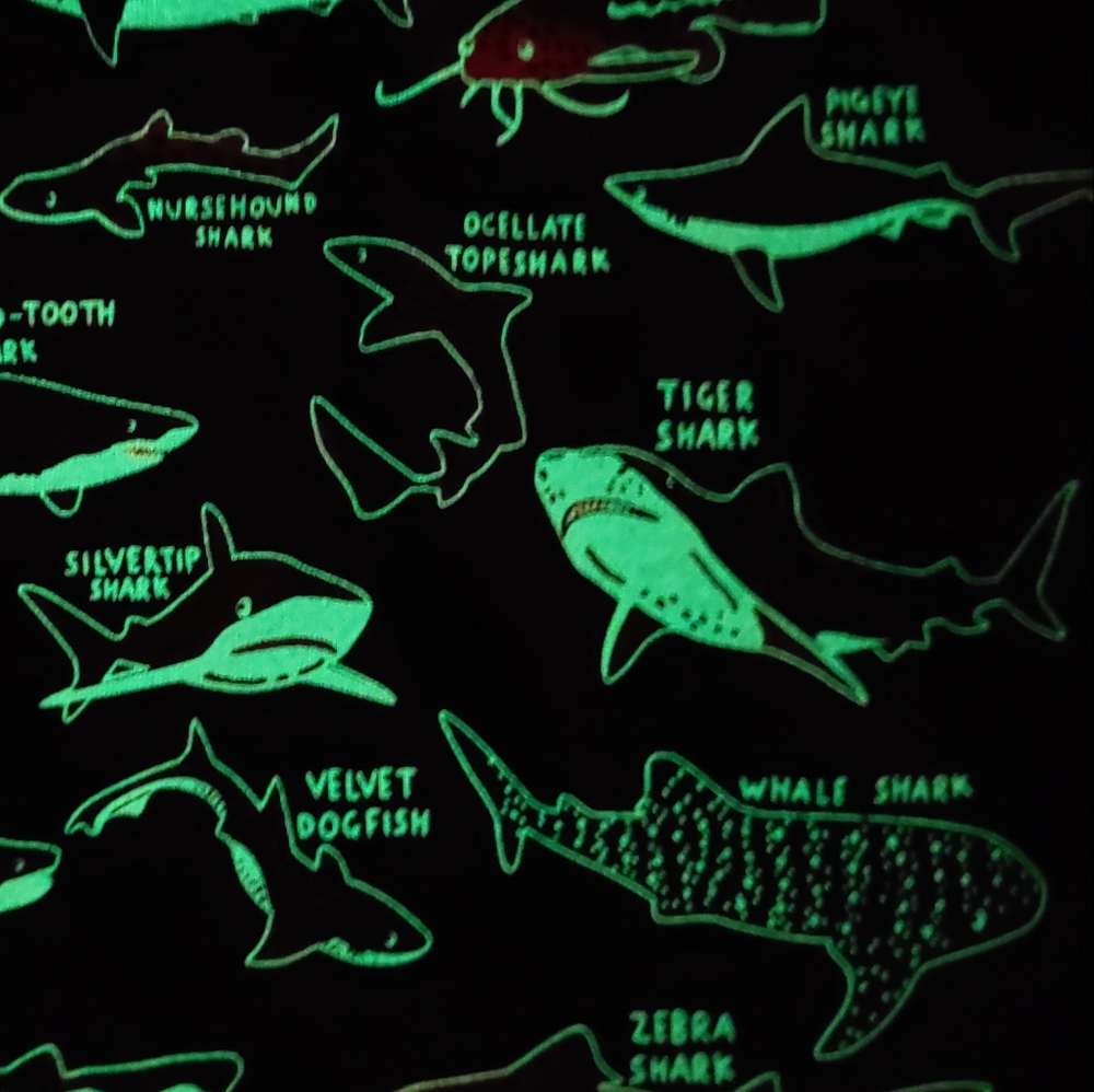 NWT GITD shark tee - Picture 14 of 16
